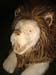 015_lion 028