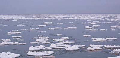 icyness.jpg