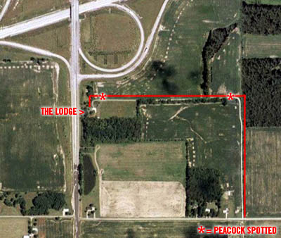 lodgeaerial.jpg