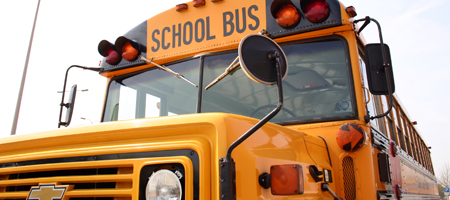 bus