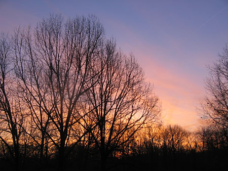 sunrise